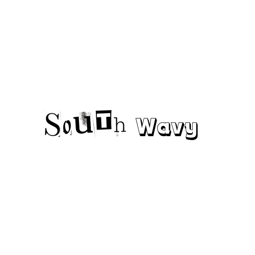 south removebg preview
